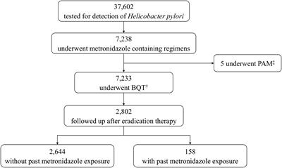 The Influence of Past Metronidazole Exposure on the Outcome of Helicobacter pylori Eradication